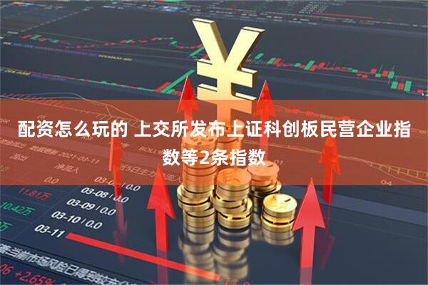 配资怎么玩的 上交所发布上证科创板民营企业指数等2条指数